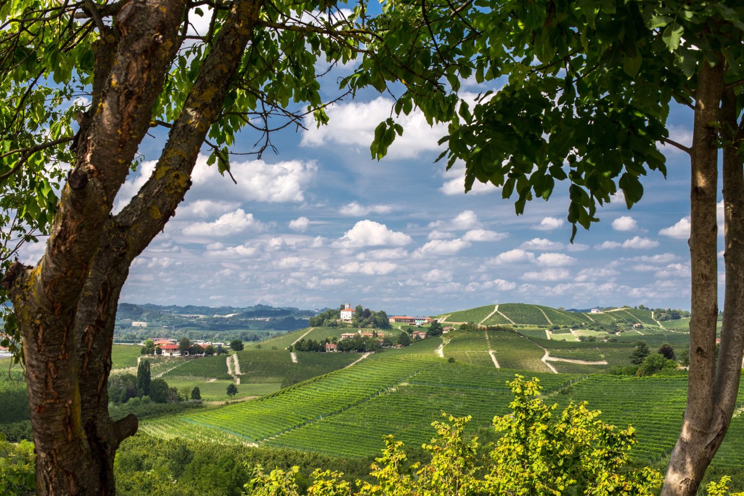 Southern Styria Hintergrundbild