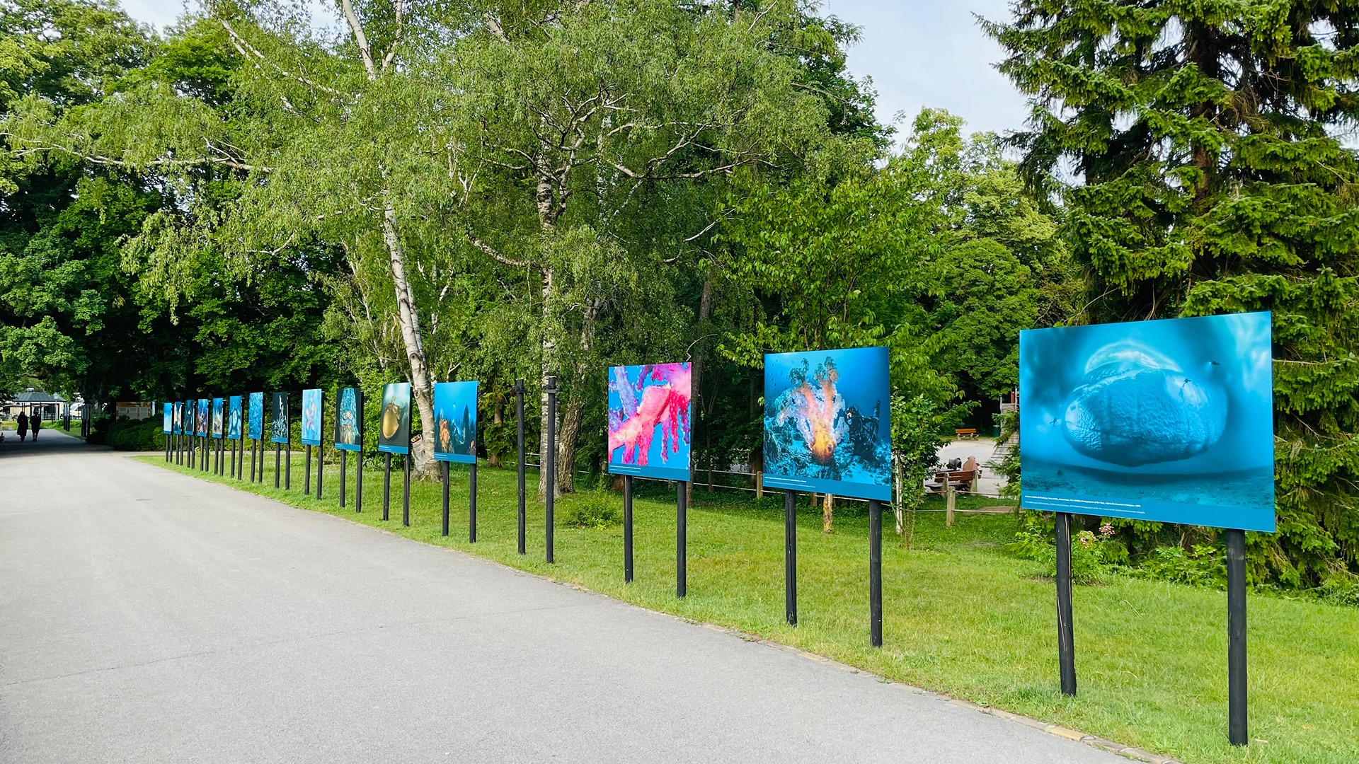 Kunst und Kultur Hintergrundbild