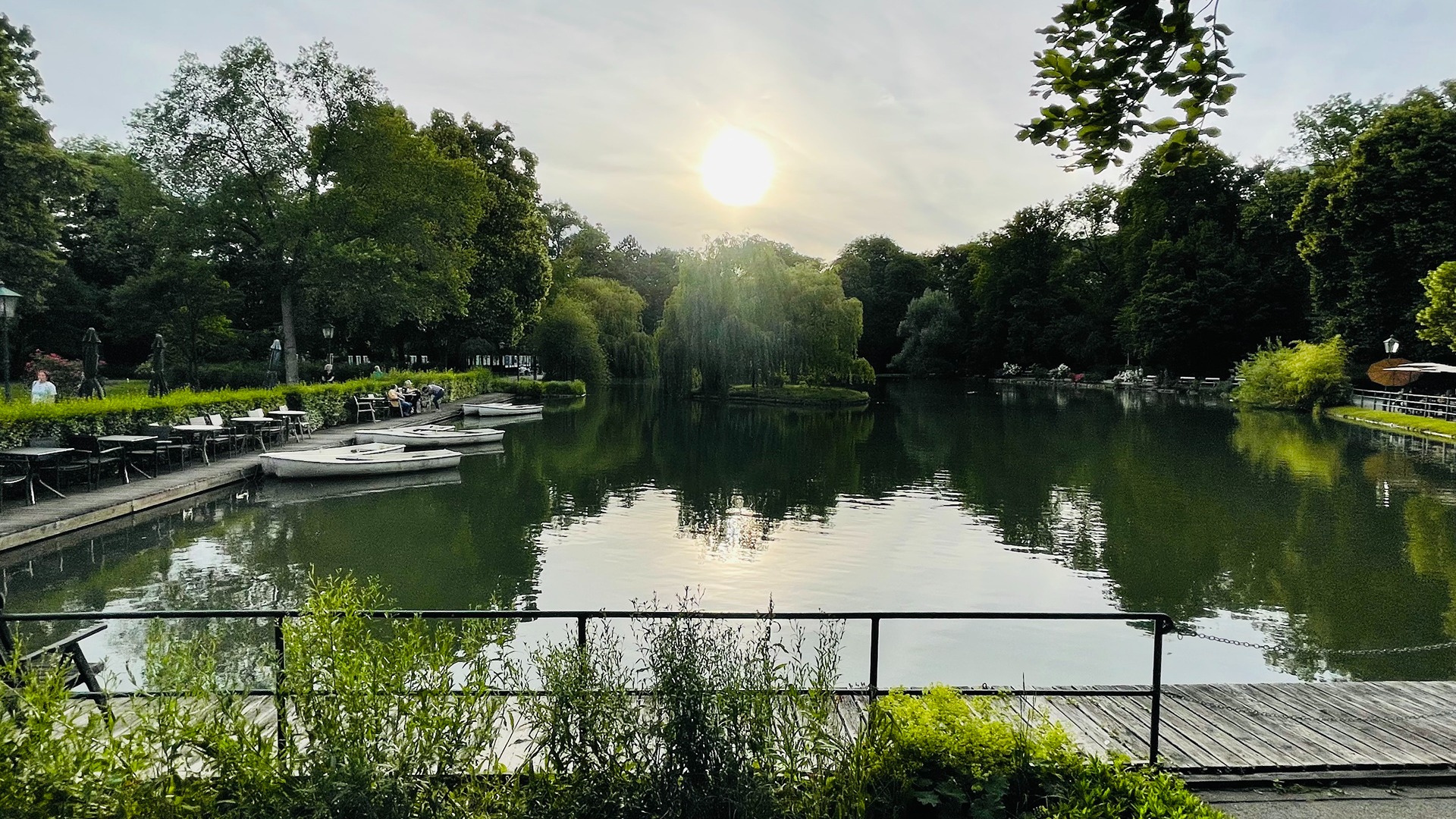 Experience Nature & Disco Hintergrundbild